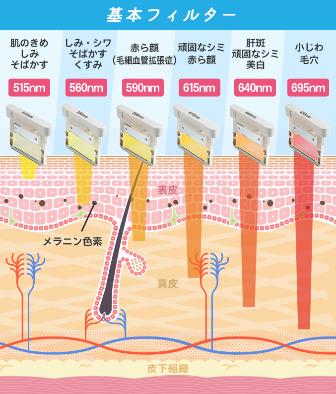 基本フィルター