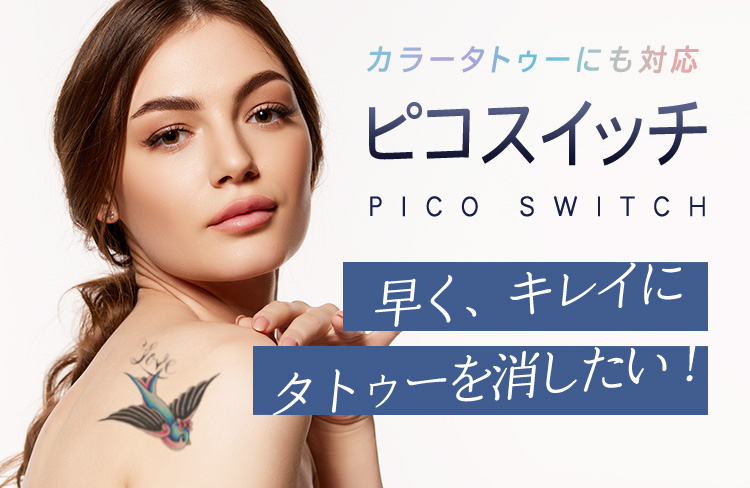 ピコレーザー《ピコスイッチ》