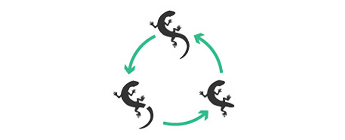 トカゲやイモリ