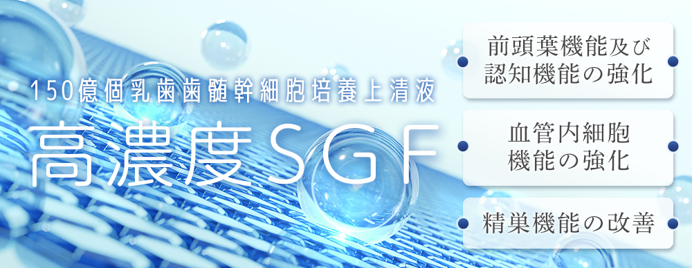 高濃度SGF